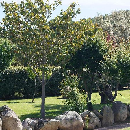 Les Jardins De Santa Giulia - Charmante Chambre D'Hote 2 Porto-Vecchio  Ngoại thất bức ảnh