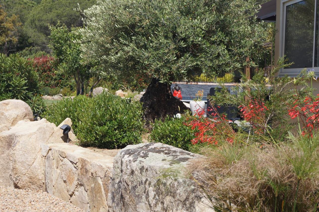 Les Jardins De Santa Giulia - Charmante Chambre D'Hote 2 Porto-Vecchio  Ngoại thất bức ảnh